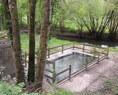 008 Regard et petit bassin au bord de l’Ourcq
