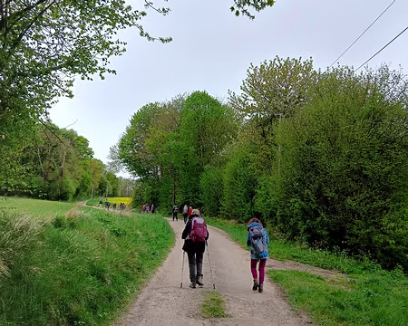 035 Entre bois et champs