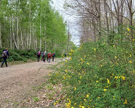 047 La dernière ligne droite