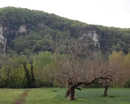 DSC_0020 Boucle de Vitrac: La falaise de Caudon.