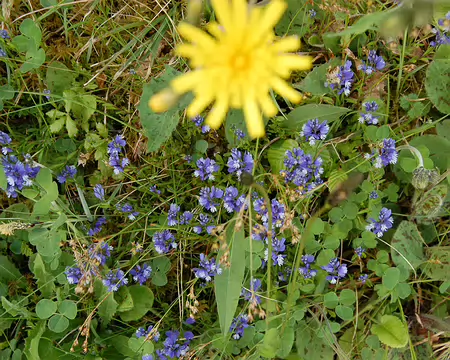 DSC_0072 Boucle de Beynac: Non identifié : notre 