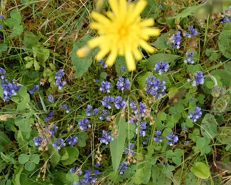 DSC_0072 Boucle de Beynac: Non identifié : notre 