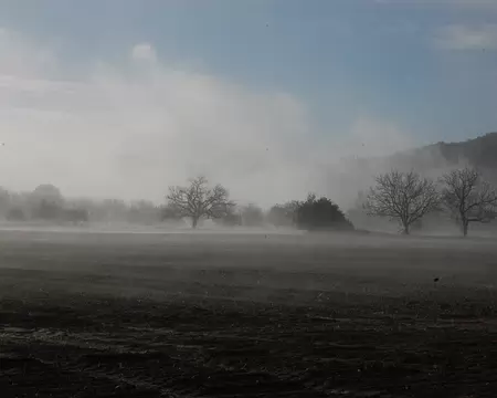 DSC_0108 Mais ça se lève, là !