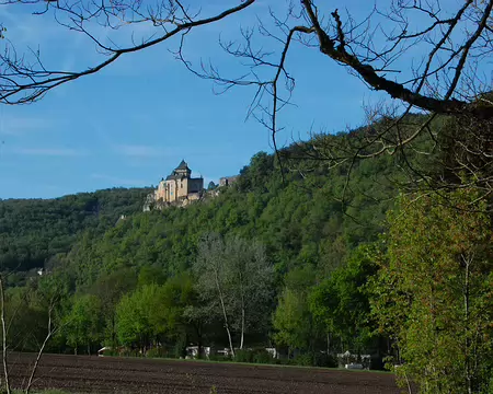DSC_0131 Jour 7 : Lumière du matin sur le château de Castelnaud vu du camping.