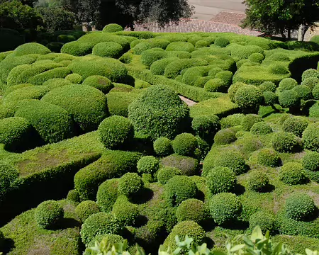 DSC_0138 Marqueyssac: Dans les jardins, l'art topiaire : 150 000 buis plantés, taillés à la main, traités. Voulu par Julien de Cerval au XIX ième.