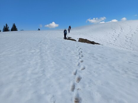 Gabrièle Gabriele S, détail sortie