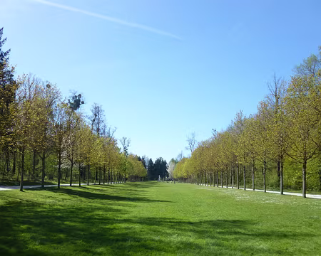 P1200956 Perspective à la française.