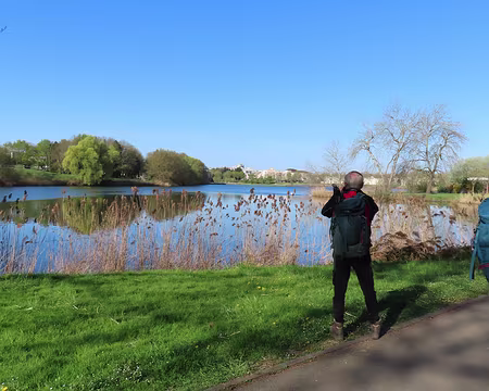 IMG_6601 Sur le l'étang de Maubuée on voit passer des hérons