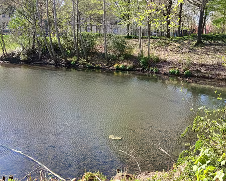 002 L’étang de Sainte-Colombe