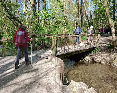 013 Passerelle au-dessus du ru de la Brosse
