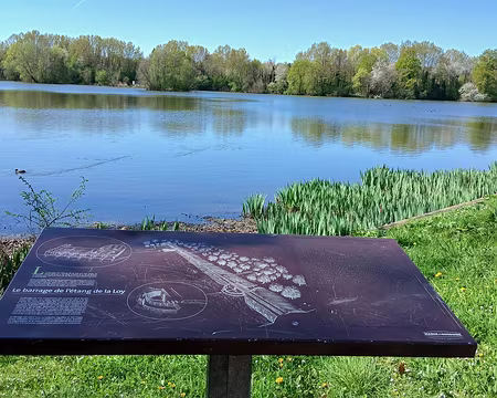 014 L’étang de la Loy. Le barrage, haut de 5,8 m et long de 300 m, permet de contenir les crues
