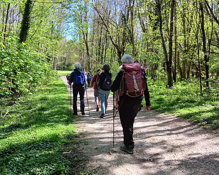 026 Chemin dans la partie boisée du parc de Rentilly