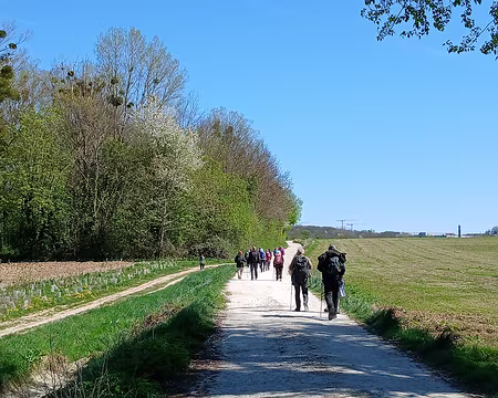 031 Campagne briarde