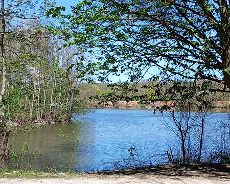 032 L’étang de la Brosse