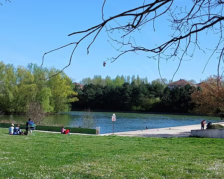 035 L’étang de l’Île mystérieuse …