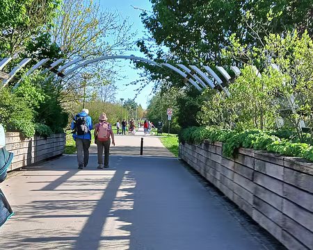 048 Le chemin du retour