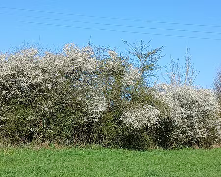 003 Le printemps en Seine-et-Marne