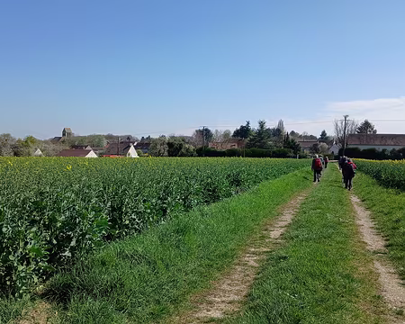040 Arrivée au village de Savins par le GR 11