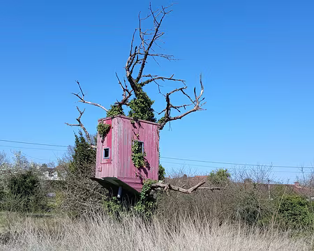 042 Cabane perchée vue du sentier rural du Valot à Savins