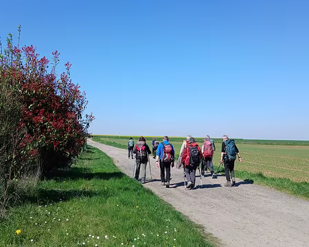 047 Sur le chemin rural de Provins