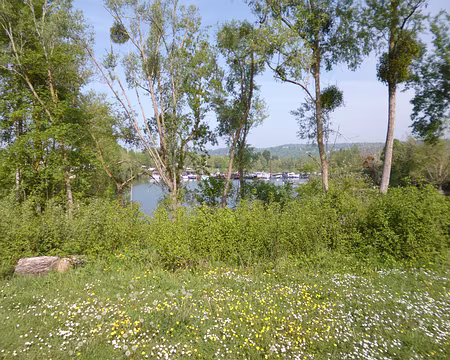 P1210091 ...son port