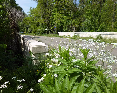 P1210095 Le Pont-aux-Chèvres
