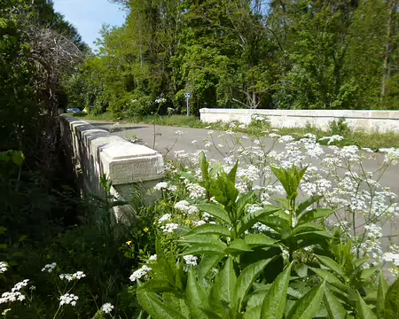 P1210095 Le Pont-aux-Chèvres