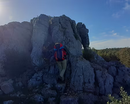 20250420_092802 L'éléphant de pierre