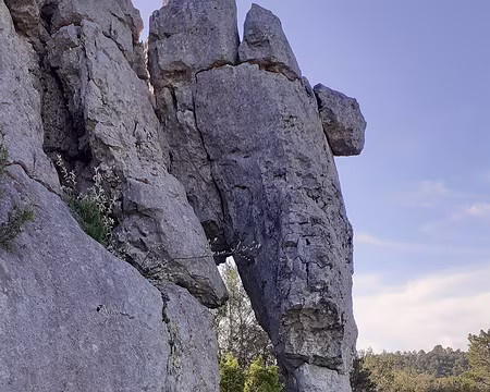 20250420_093126 Détail sur sa trompe