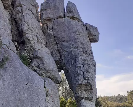 20250420_093126 Détail sur sa trompe
