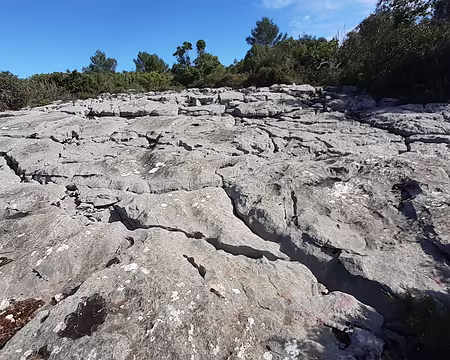 20250420_102050 Lapiaz du Plateau du Siou Blanc