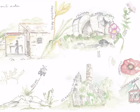 CCF07062025_0001 ... avec ses belles aquarelles