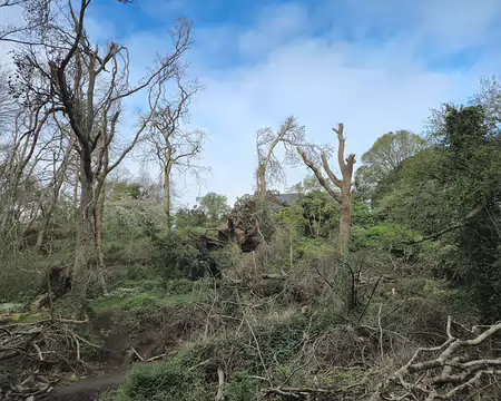 20250421_095031 Traouiero à Trégastel, séquelles de la tempête Ciaran du 2 novembre 2023