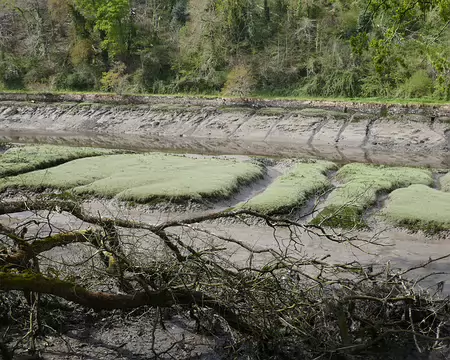 Le Léguer à marée basse.