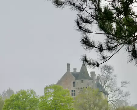 Le château de la Roche-Jagu dans la grisaille.