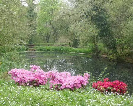 Dans le jardin du château de La Roche-Jagu.
