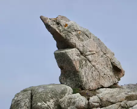 Oiseau, serpent, poisson ?