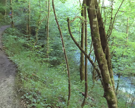 20250530151331 Ambiance verte dans la vallée