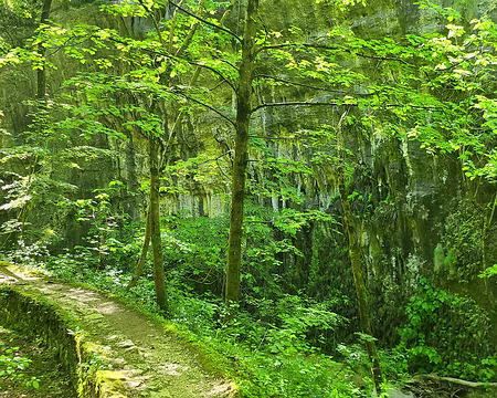 20250530162922 Ambiance féérique, la lumière verte est filtrée au fond de la gorge.