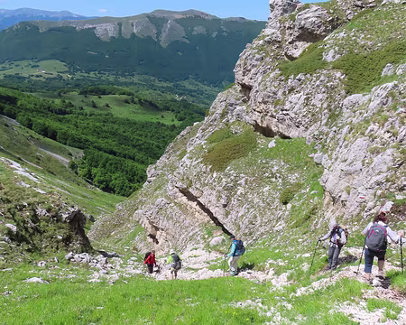 20250531100805 Descente par le même chemin.