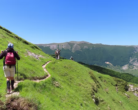 20250531105210 Une balade facile fera l'affaire.