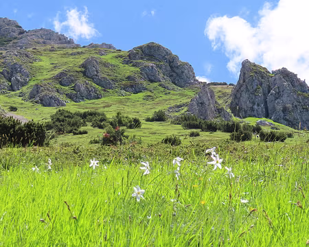 20250531110859 vers 1600 m d'altitude