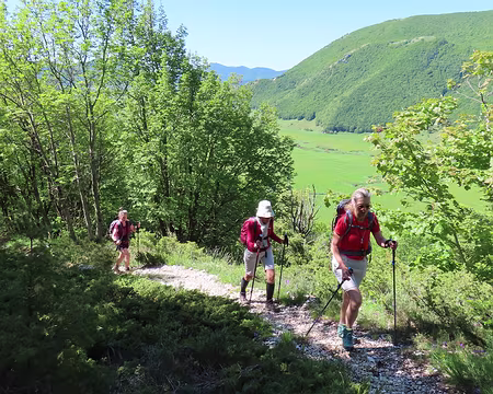 20250601085940 La montée est moins dure qu'hier.