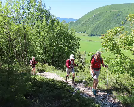 20250601085940 La montée est moins dure qu'hier.