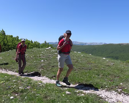 20250601101908 Coucou