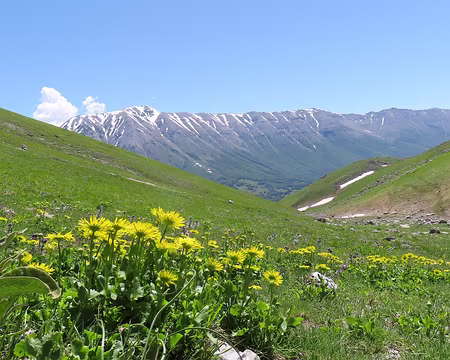 20250602102048 Un fond d'écran