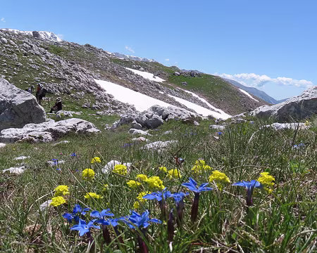 20250602110314 Jaune et bleu