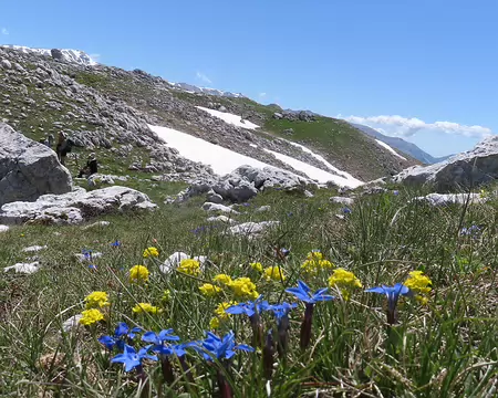 20250602110314 Jaune et bleu