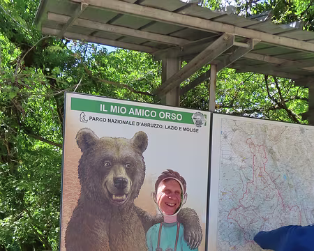 20250603154605 Les ours, on ne les vois qu'en photo, est-ce que c'est mieux comme ça ?