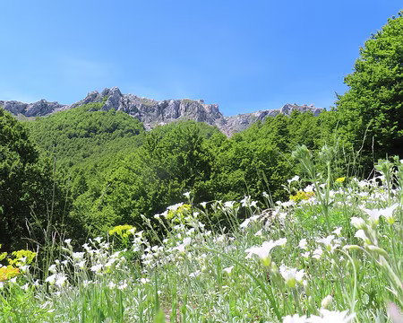 20250604113048 Aujourd'hui nous partons à l'assaut de la Cima della Terratta en boucle depuis le village de Scanno